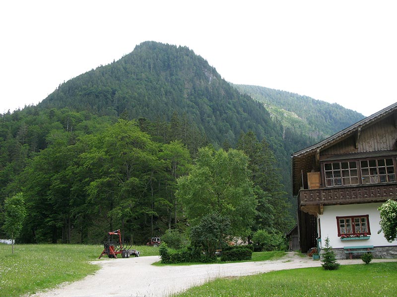 waldschoeckl
